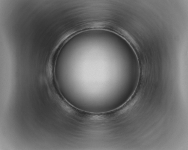 X0000113360835200909151234