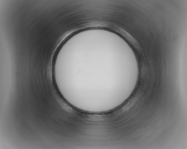 X0000113360836200909151234