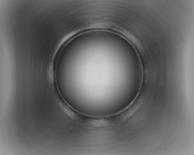X0000113360838200909151234