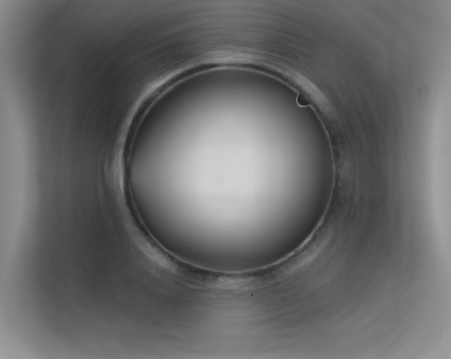 X0000113360840200909151234
