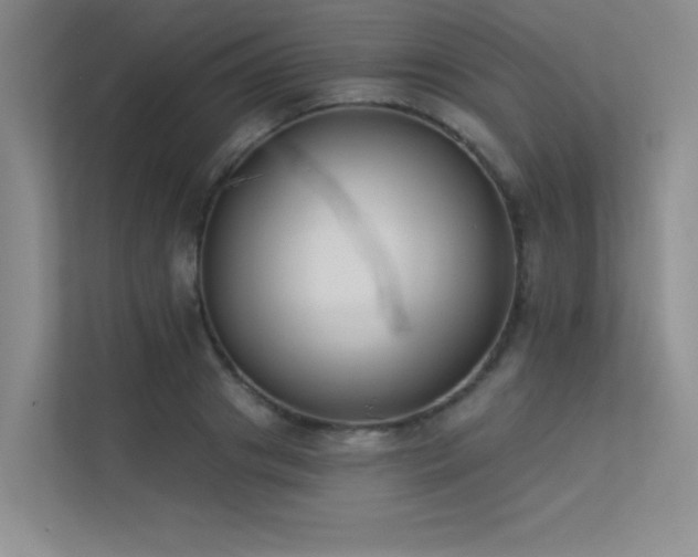 X0000113360841200909151234
