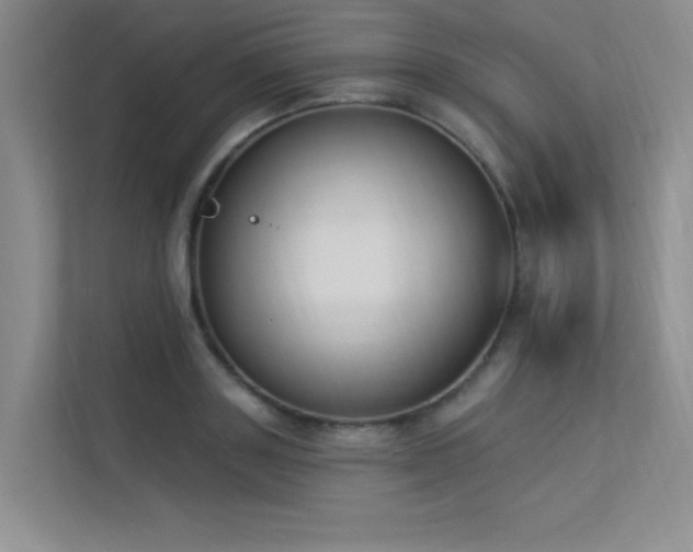 X0000113360843200909151234