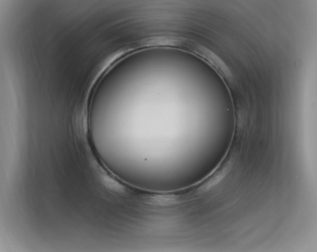 X0000113360844200909151234