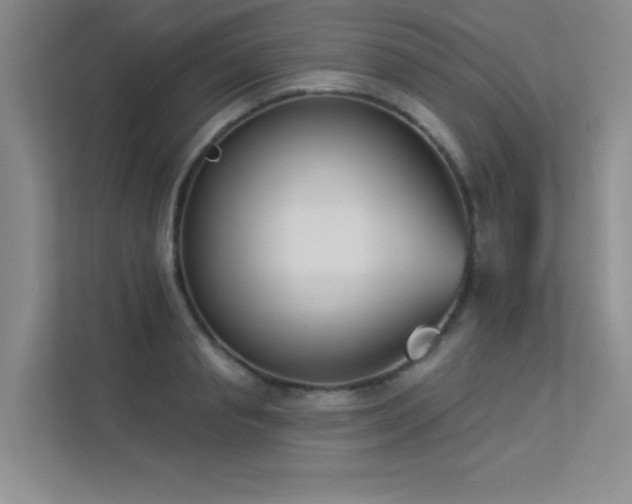 X0000113360845200909151234