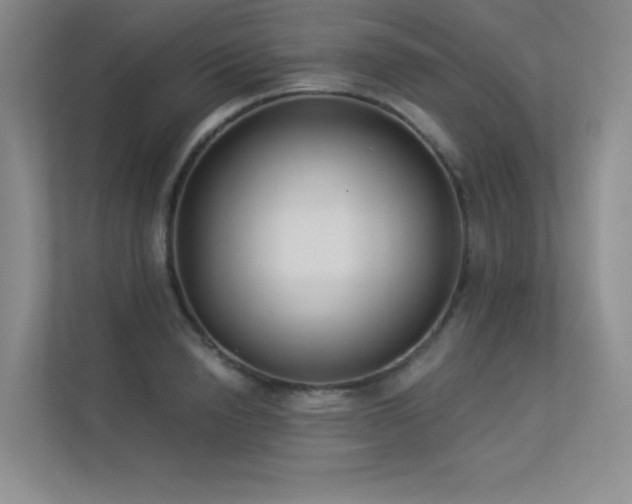 X0000113360846200909151234