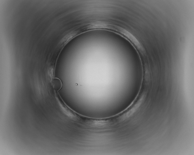 X0000113360849200909151234