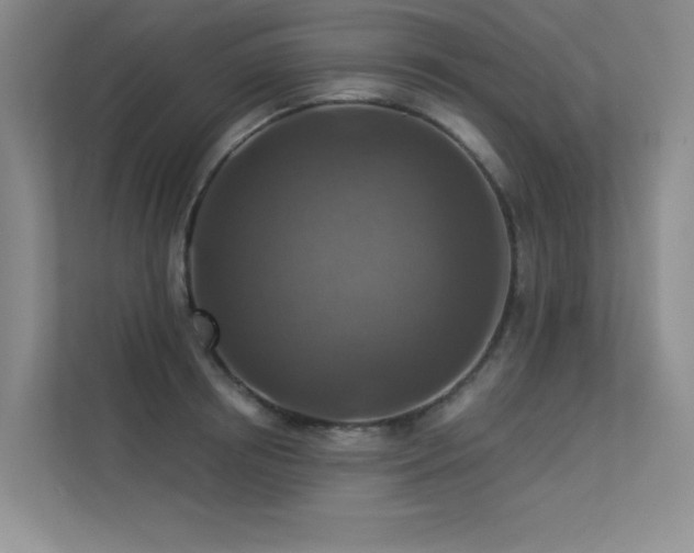 X0000113360850200909151234