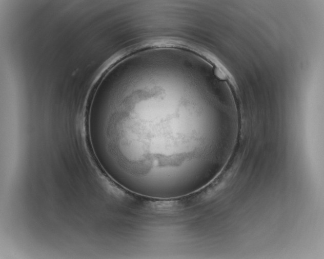 X0000113360853200909151234