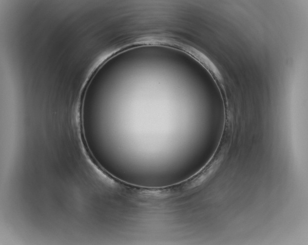 X0000113360855200909151234