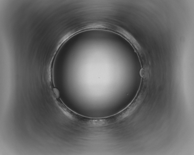 X0000113360858200909151234