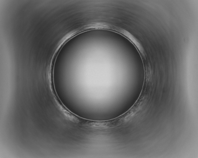 X0000113360861200909151234