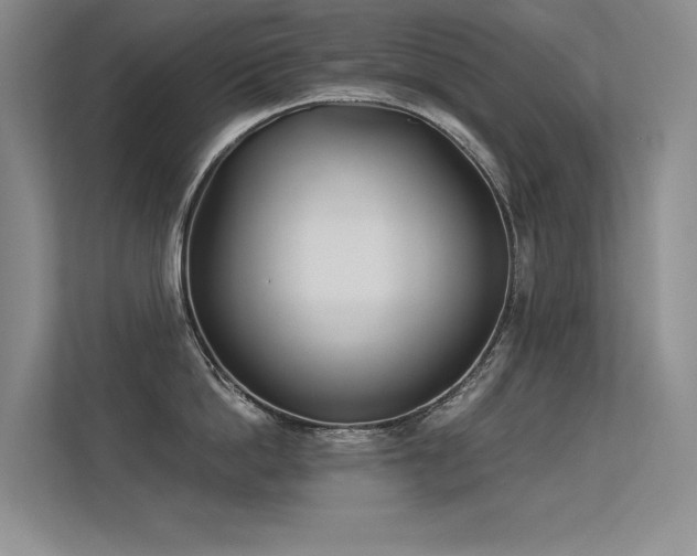 X0000113360862200909151234