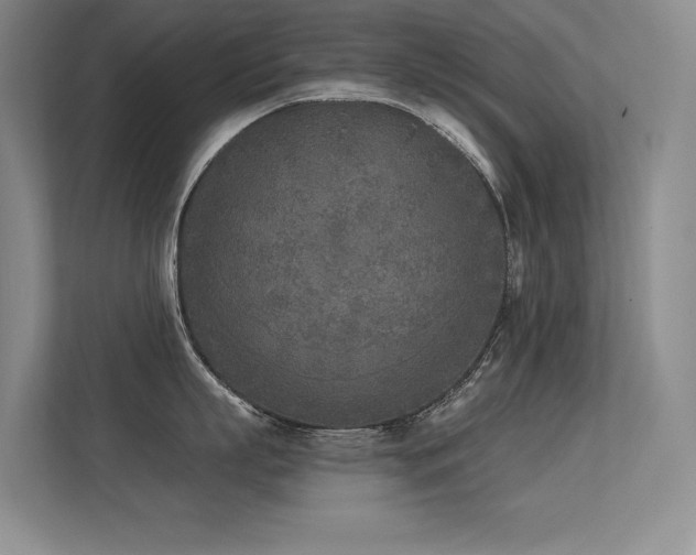 X0000113360863200909151234
