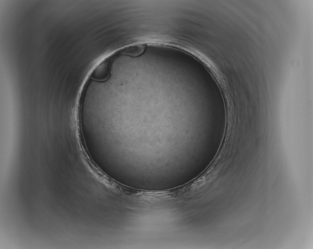 X0000113360864200909151234