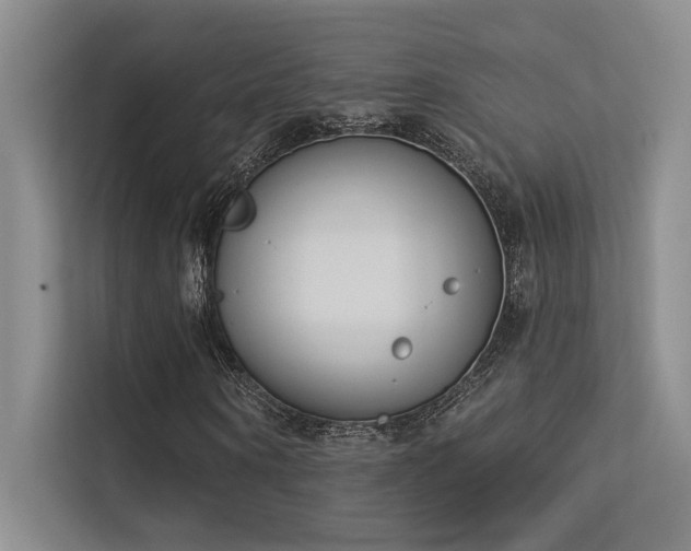 X0000113360866200909151233