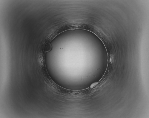 X0000113360867200909151233
