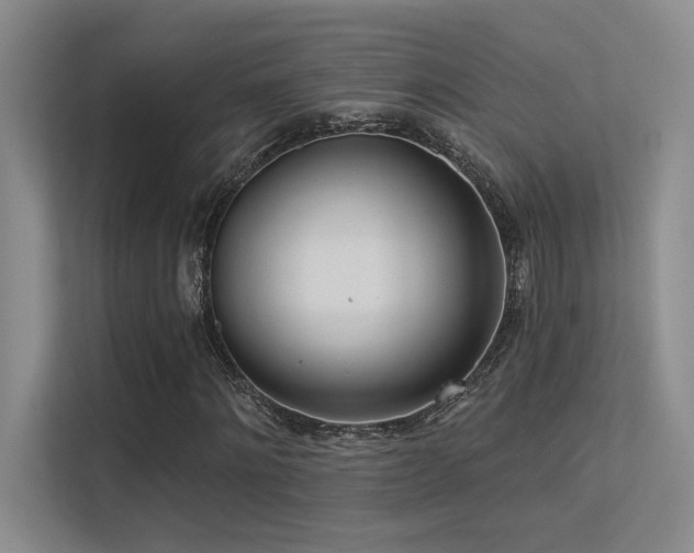 X0000113360868200909151233