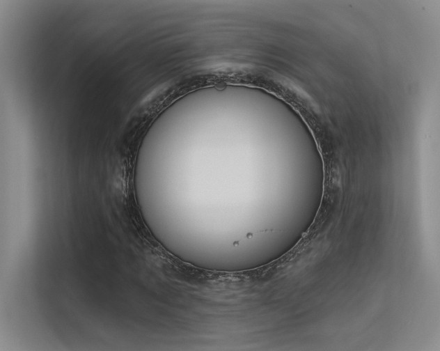 X0000113360869200909151233