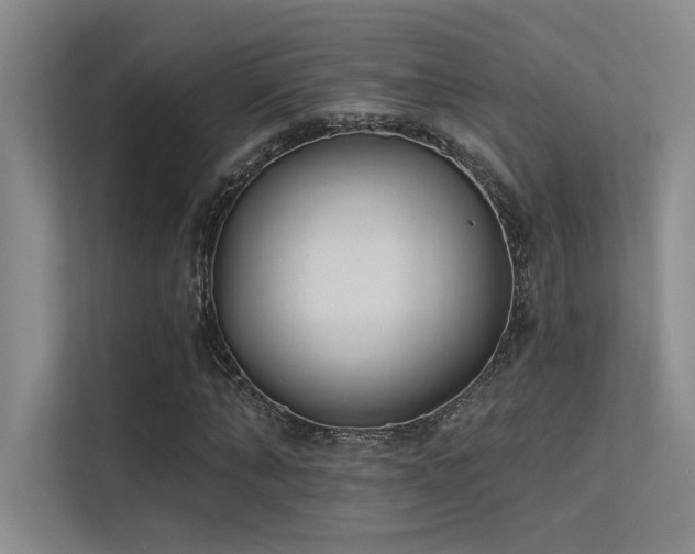 X0000113360870200909151233