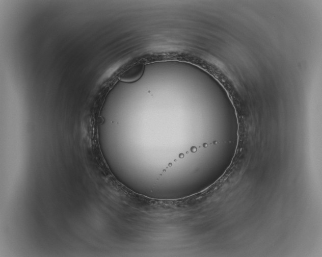 X0000113360871200909151233