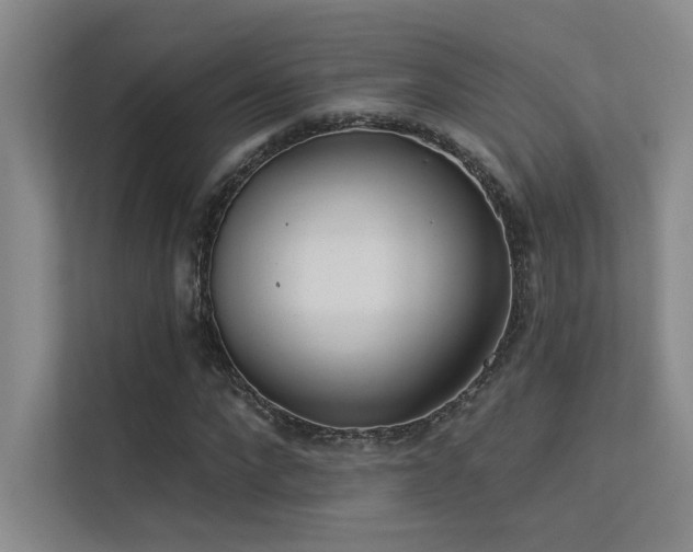 X0000113360872200909151233
