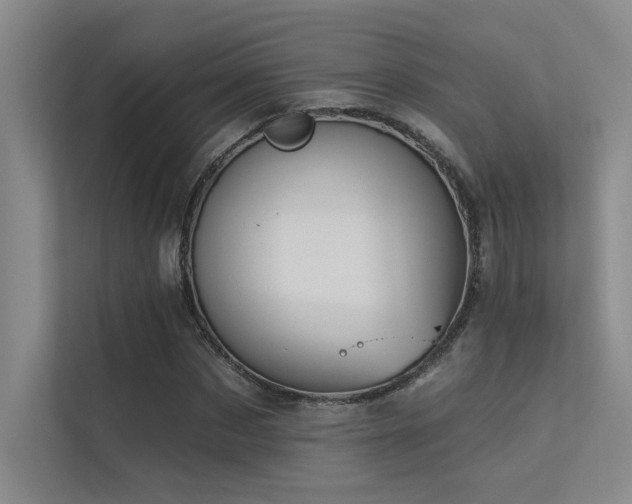 X0000113360873200909151233