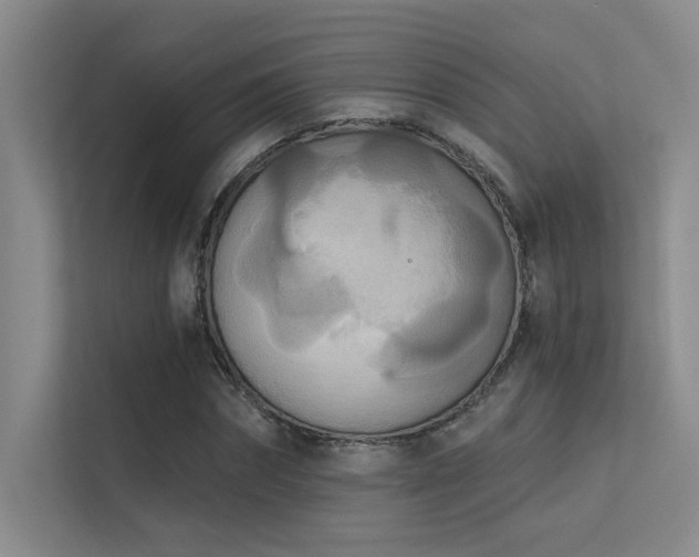 X0000113360874200909151233
