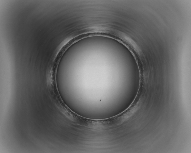 X0000113360875200909151233