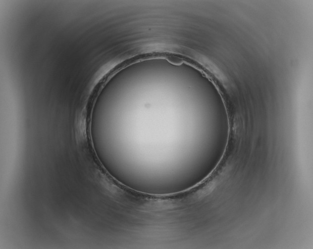 X0000113360877200909151233