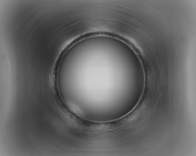 X0000113360879200909151233