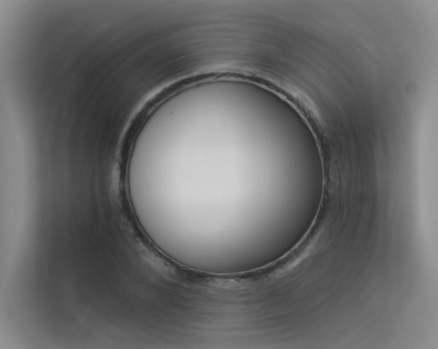 X0000113360880200909151233