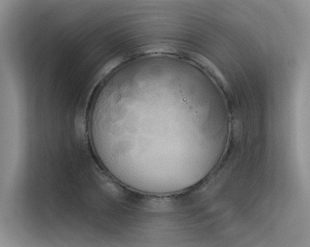 X0000113360882200909151233