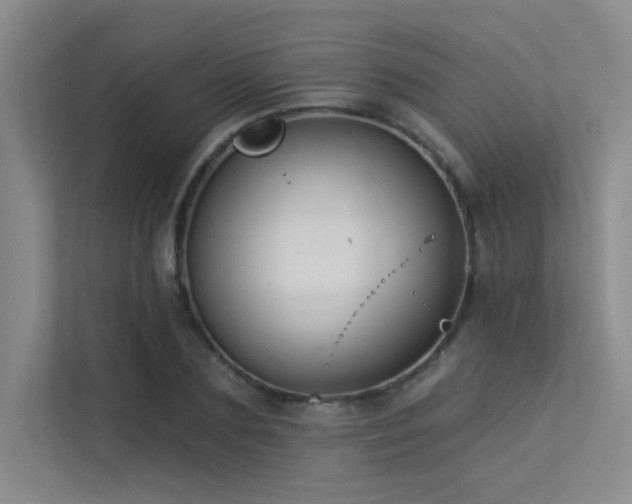 X0000113360883200909151233