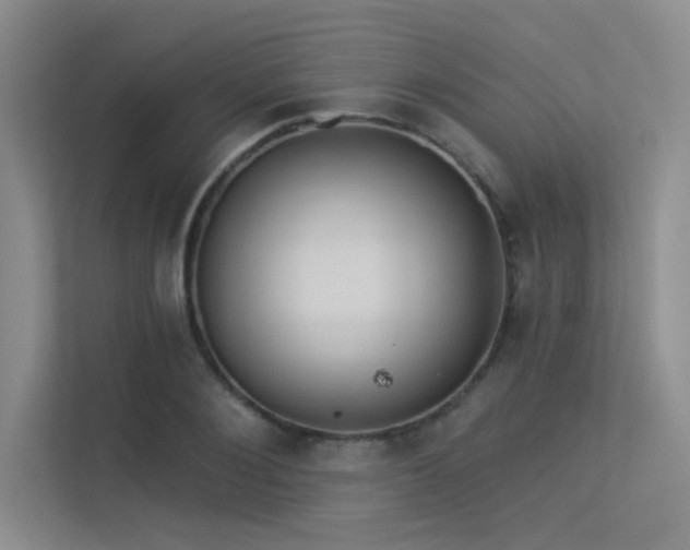 X0000113360884200909151233