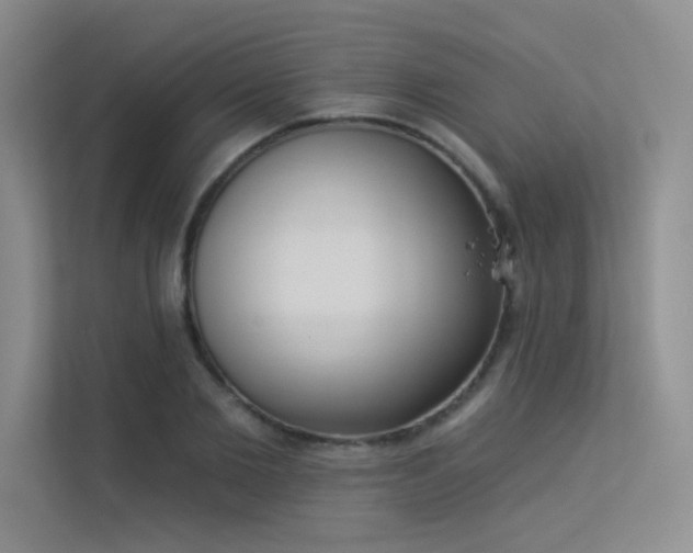X0000113360885200909151233
