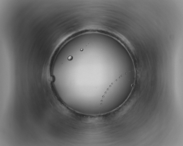 X0000113360887200909151233