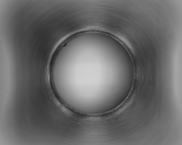 X0000113360888200909151233