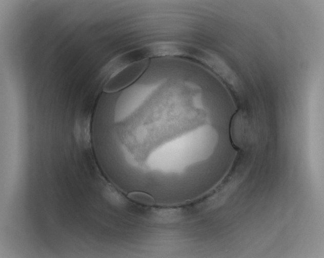 X0000113360889200909151233