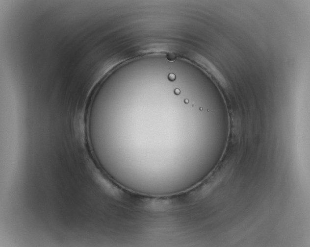 X0000113360890200909151233