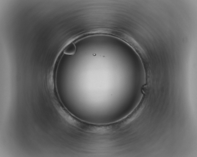X0000113360892200909151233