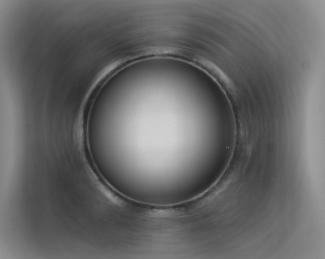 X0000113360894200909151233