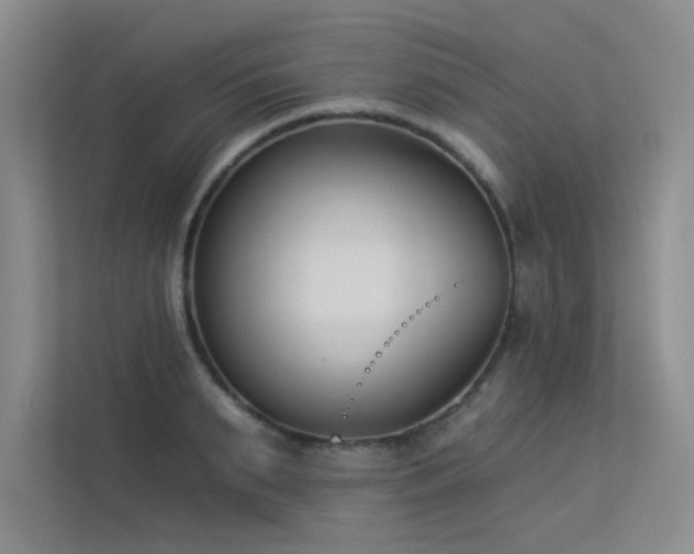 X0000113360895200909151233