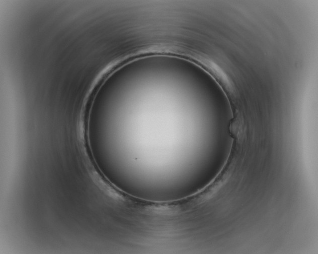X0000113360896200909151233