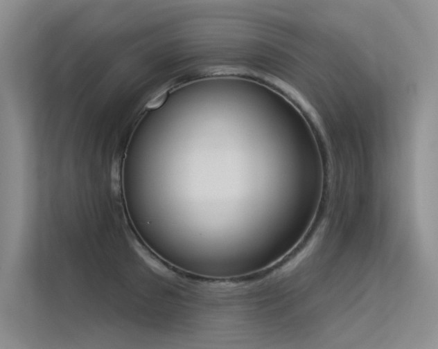 X0000113360897200909151233