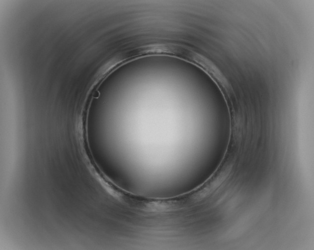 X0000113360898200909151233