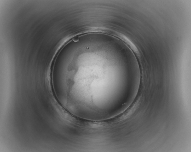 X0000113360899200909151233