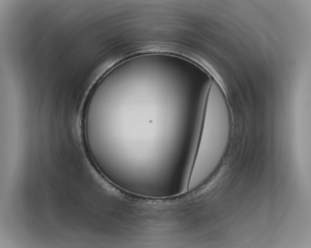 X0000113360901200909151233