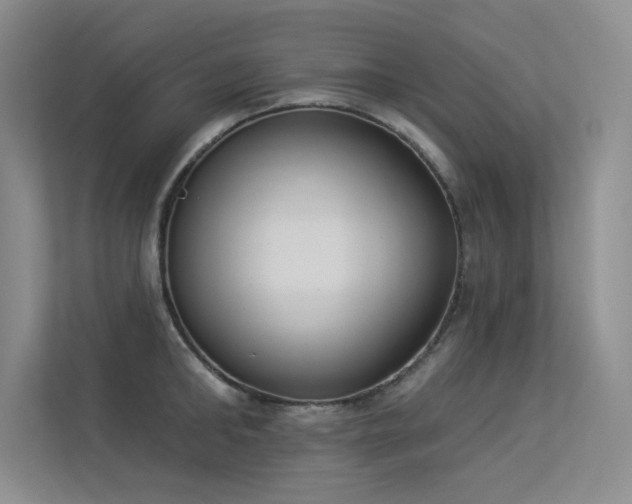 X0000113360902200909151233