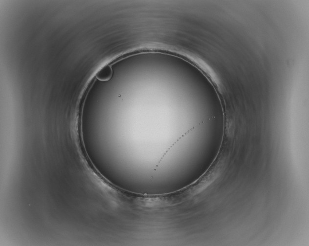 X0000113360903200909151233