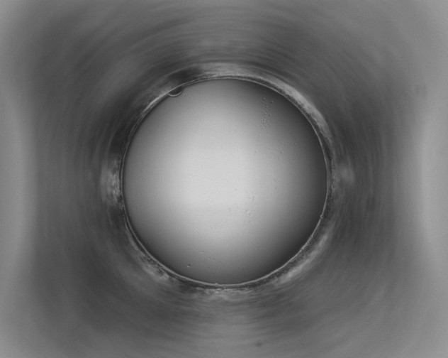 X0000113360905200909151233